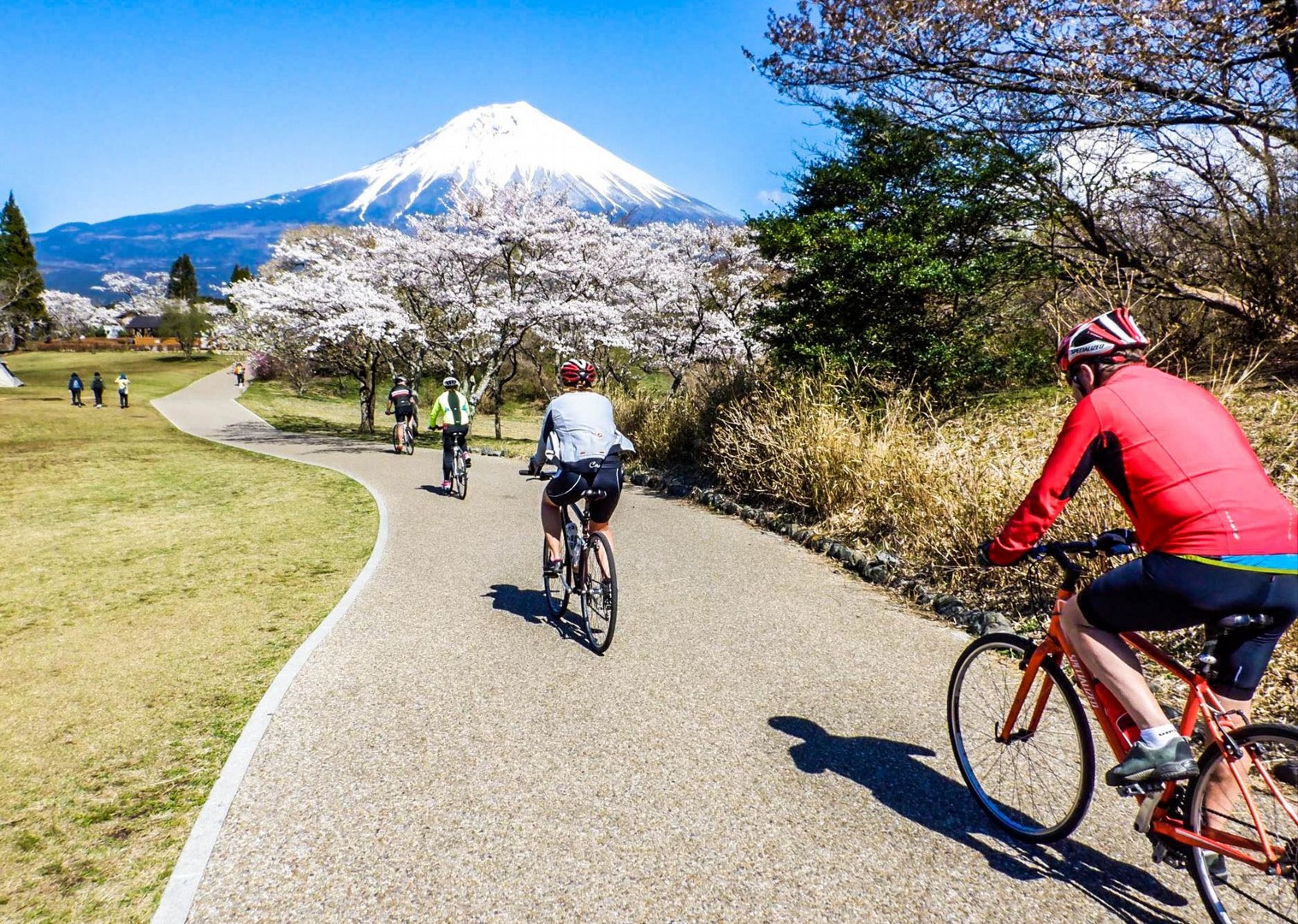 cycling tours in japan