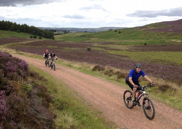 UK - Northumberland - Sandstone Way - Self Guided Mountain Bike Weekend Image