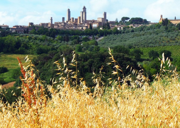 Italy - Tuscany Tourer - Guided Road Cycling Holiday Image