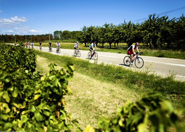 skedaddle bike tours