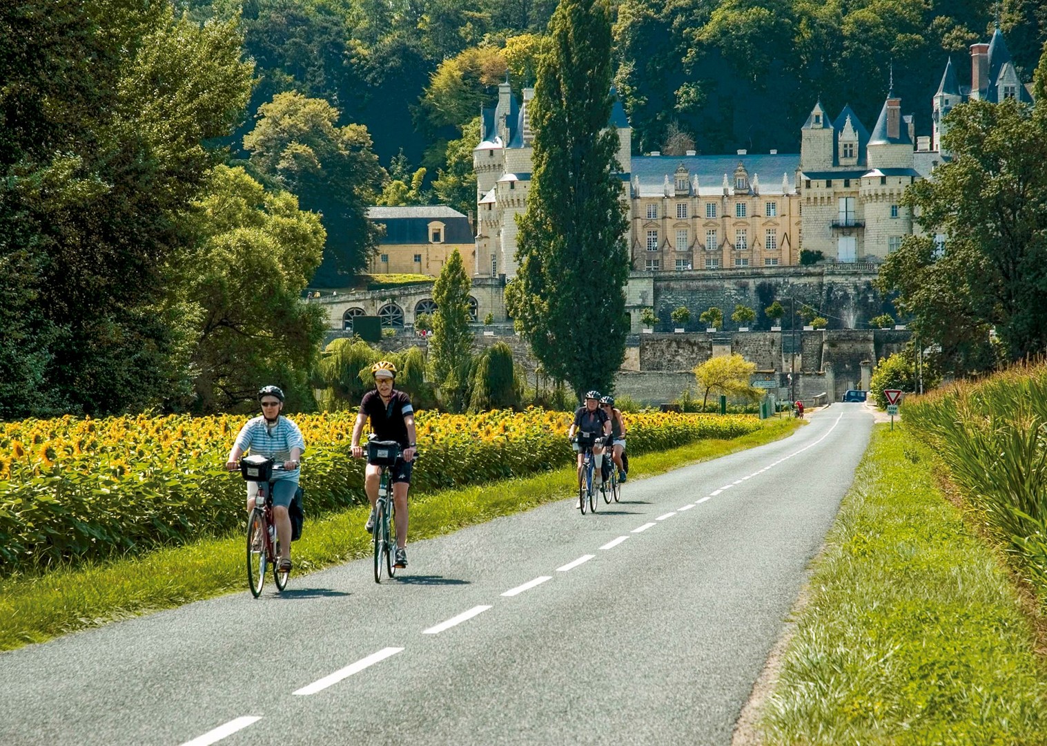 bicycle tours loire valley france