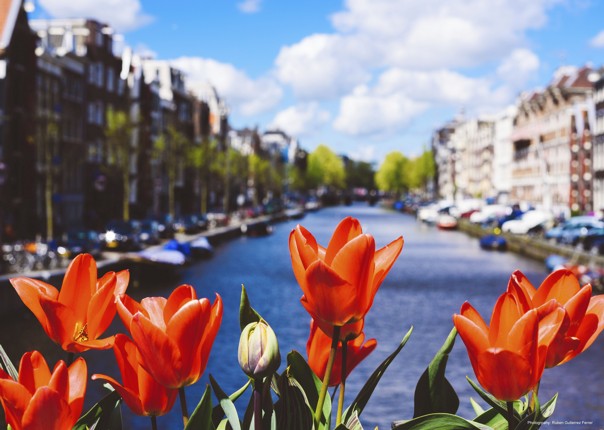 lesiure-cycling-holiday-holland-amsterdam-bike-and-boat-tulip-tour.jpg