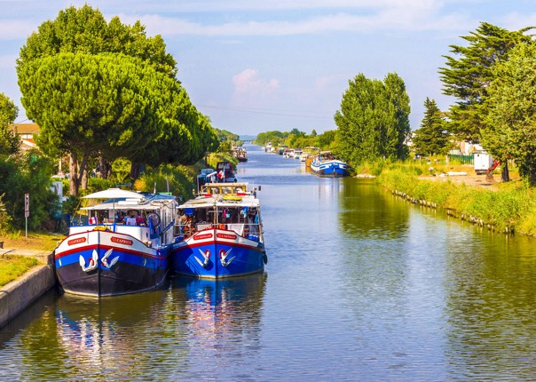 provence-aigues-mortes-to-avignon-bike-and-boat-cycling-tour.jpg