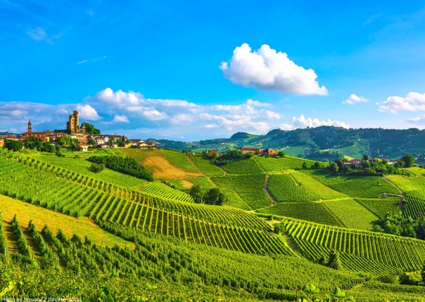 Italy - Piemonte - Vineyards and Views - Self-Guided Leisure Cycling Holiday Image