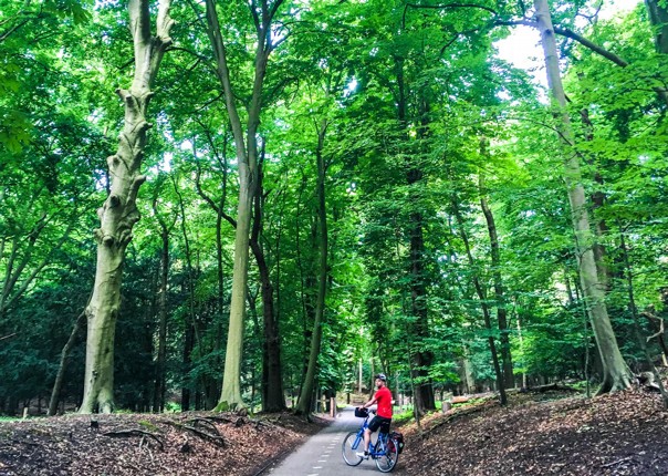 dutch-discoverer-holland-family-cycling-holiday-saddle-skedaddle-trip.jpg