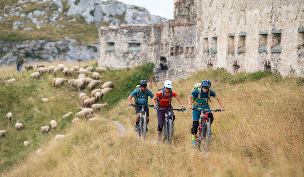 Three mountain bikers wearing deuter backpacks